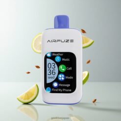 AirFuze Smart Pro 40000パフス 20ml充填済み 900mAh充電式 Miami Mint 卸売業者 日本