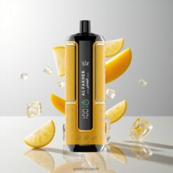Al Fakher Crown Bar 15K Hypermax 15000 Puffs ディスポーザブル ベイプ 22ml 容量 & メッシュコイル技術 卸売業者 日本 Mango Ice