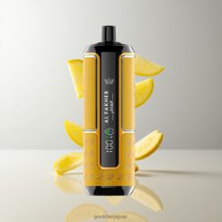 Al Fakher Crown Bar 15K Hypermax 15000 Puffs ディスポーザブル vape 最大15,000パフ & 22ml Eリキッド容量 Mango Pineapple 卸売業者 日本