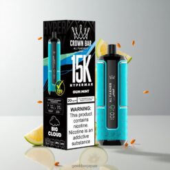 Al Fakher Crown Bar 15K Hypermax 15000 Puffs ディスポーザブルベイプ – 22ml 大容量 eリキッド & メッシュコイル技術 for 卸売業者 日本 – Gum Mint