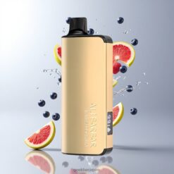 Alibarbar Ingot 9000 Puffs 22ml E-liquid容量 & 2350mahバッテリー ブルーベリーブラスト 卸売業者 日本