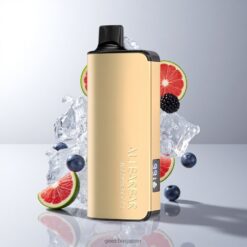 Alibarbar Ingot 9000 Puffs 22ml Eリキッド容量 2350mahバッテリー容量 卸売業者 日本 Blackberry Ice