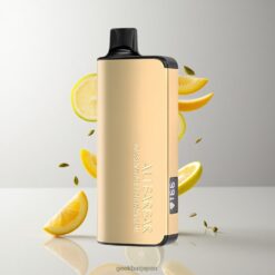 Alibarbar Ingot 9000 Puffs 22mlリキッド容量＆2350mahバッテリー ディスポーザブルベイプ Passionfruit Mango Lime 卸売業者 日本