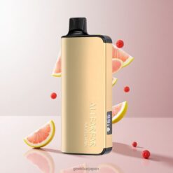 Alibarbar Ingot 9000 Puffs パフス 22mlリキッド容量＆2350mAhバッテリー容量 ディスポーザブルベイプ Pink Lemon 卸売業者 日本