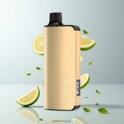 Alibarbar Ingot 9000 Puffs パフス ディスポーザブルベイプ 22ml eリキッド容量 & 2350mAhバッテリー容量 Cool Mint 卸売業者 日本
