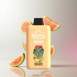 BANG 36000 Power 指紋認証パワー調整搭載 デュアルメッシュコイル 卸売業者 日本