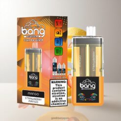 Bang 60K DSK037 2-in-1 デュアルフレーバー＆リフィル対応 60,000パフ 卸売業者 日本 Mango-Strawberry
