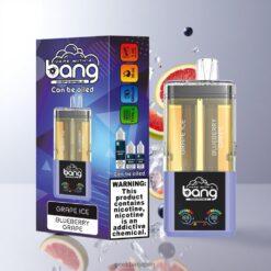 Bang 60K DSK037 リフィル可能 2-in-1 デュアルフレーバー 60,000パフ 卸売業者 日本 Grape Ice-Blueberry Grape