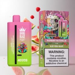 Bang Blaze 40000 DSK041 デュアルプロファイル・スライドスイッチ技術搭載 Raspberry Watermelon-Aloe Vera Grape 40ml 大容量 卸売業者 日本