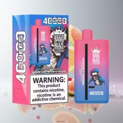 Bang Blaze 40000 DSK041 デュアルプロファイル＆40,000パフ Disposable Vape Rainbow Candy-Arctic Freezing