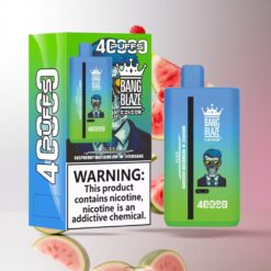 Bang Blaze 40000 DSK041 デュアルプロファイル＆40,000パフ 使い捨てベイプ Raspberry Watermelon-Jieshuang 卸売業者 日本