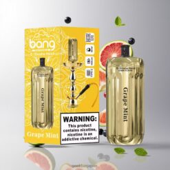 BANG BLAZE E-SHISHA 42000 Puffs DSK038 グラペミント 0.6Ωデュアルメッシュコイル 卸売業者 日本
