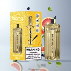 BANG BLAZE E-SHISHA 42000 Puffs DSK038 ブルーベリーミント 0.6Ωデュアルメッシュコイル搭載 卸売業者 日本