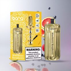 BANG BLAZE E-SHISHA 42000 Puffs DSK038 ブルーベリーラズベリー風味 デュアルメッシュコイル搭載 1000mAhバッテリー 卸売業者 日本
