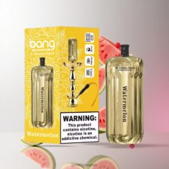 BANG BLAZE E-SHISHA 42000 Puffs DSK038強力な1000mAhバッテリーと30ml eリキッド 卸売業者 日本