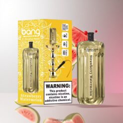 BANG BLAZE E-SHISHA 42000 Puffs DSK038強力な1000mAhバッテリーと30mlプレミアムリキッド搭載 卸売業者 日本