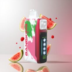 BANG KING 60000 Puffs DSK048 25ml 5段階冷却システム リチャージャブル タイプC充電 850mAh バッテリー 卸売業者 日本