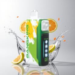 BANG KING 60,000 Puffs DSK048 25ml プレフィルド 5段階冷却システム リチャージ可能 850mAh バッテリー 卸売業者 日本