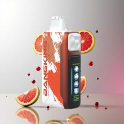 BANG KING 60000 Puffs DSK048 60,000パフ 25ml プレフィル 5段階冷却システム 850mAh リチャージャブル バッテリー Type-C 急速充電 卸売業者 日本