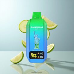 BANG KING City DSK044 ディスポーザブルベイプ – 50,000パフ 45ml リキッド容量 スマートLCDディスプレイ搭載 卸売業者 日本