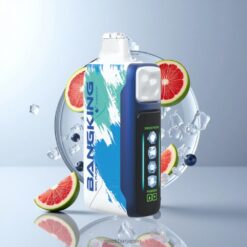 BANG KING Ice Cool 60K DSK048 5段階冷却システム 25ml プリフィルド 卸売業者 日本