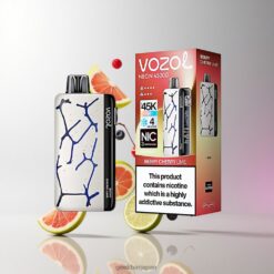 ベリー・チェリー・ライム Vozol Neon 45k 45000パフ 使い捨てベイプ 最大45000パフ 800mAh Type-C充電式 卸売業者 日本