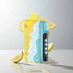 Elf bar Ice King 40K Disposable Summer Edition 20mlプリフィルド・リキッドと5段階冷却レベル 卸売業者 日本