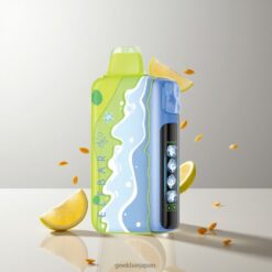 Elf bar Ice King 40K Disposable Summer Edition 5段階調整可能な冷却システムと40,000パフ 卸売業者 日本