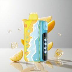 Elf bar Ice King 40K Disposable Summer Edition 最大40,000パフ & 5段階調整可能冷却システム 卸売業者 日本