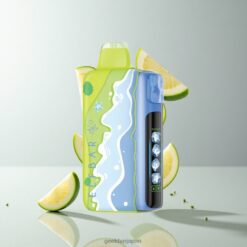Elf bar Ice King 40K Disposable Summer Edition 最大40,000パフ 5段階調整可能冷却システム 卸売業者 日本