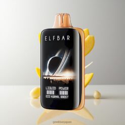 ELF BAR Moonnight 40000 Puffs Disposable Vape 高容量22ml リチャージャブル 卸売業者 日本 Double Mango