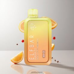 Elf Bar Raya D1 13000パフス リチャージャブル 18ml 5% ニコチン 650mAh タイプC 充電式 卸売業者 日本