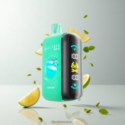 ELF BAR RAYA D3 25000 Puffs Disposable Vape 23ml 充電式 850mAh 大画面表示 Type-C 卸売業者 日本