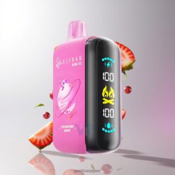 ELF BAR RAYA D3 25000 Puffs Disposable Vape 23ml 充電式 タイプ-C 850mAh 卸売業者 日本