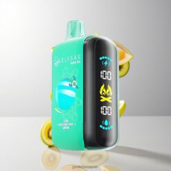 ELF BAR RAYA D3 25000 Puffs Disposable Vape 850mAh充電可能 23mlプレフィル 卸売業者 日本