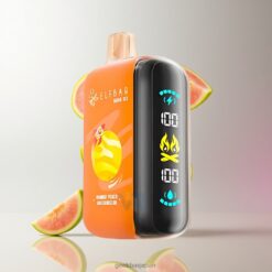ELF BAR RAYA D3 25000 Puffs Disposable Vape 850mAh充電可能 大画面ディスプレイ 卸売業者 日本