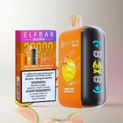 ELF BAR RAYA D3 25000 Puffs Disposable Vape 850mAh充電式 23mlプレフィル 卸売業者 日本