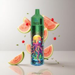 Fumot RandM Tornado 30000 Puffs 30mL プレフィルド 600mAh リチャージャブル Watermelon Cantaloupe 卸売業者 日本