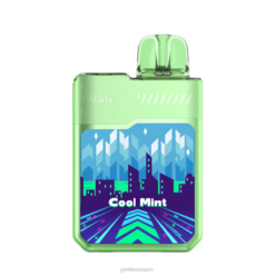 Geek Bar デジフレーバー ラッシュ 使い捨てベイプ クールミント Z824F73 Geek Bar Vape