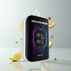GEEK BAR Somax 80000 Puffs Disposable Vape デュアルタンクシステム搭載 & マルチファンクションディスプレイ付き 卸売業者 日本 Miami Mint