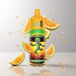 JNR Alien 10000 Puffs 850mAhバッテリー容量 1.2オームメッシュコイル 卸売業者 日本 Tropical Punch