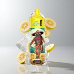 JNR Alien 10000 Puffs 850mAhバッテリー容量 & 1.2オームメッシュコイル 卸売業者 日本 Banana Ice