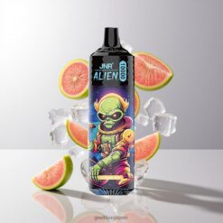 JNR Alien 10000 Puffs 850mAhバッテリー容量 & 20mlリキッド グアバアイス 卸売業者 日本