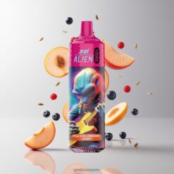 JNR Alien 10000 Puffs 850mAhバッテリー容量 & Peach Blueberry Candy 卸売業者 日本
