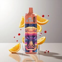 JNR Alien 10000 Puffs ディスポーザブルベイプ 850mAhバッテリー容量 & 1.2オームメッシュコイル Iron Brew 卸売業者 日本