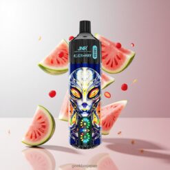 JNR Alien Max 18000 Puffs デュアルメッシュコイル & タイプC急速充電 卸売業者 日本 Strawberry Watermelon Bubblegum
