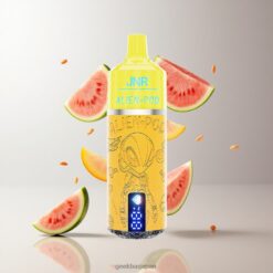 JNR Alien Pod 13000 Puffs メッシュコア＆850mAhバッテリー ディスポーザブルベイプ Watermelon Mango Peach 卸売業者 日本
