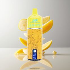 JNR Alien Pod 13000 Puffs 使い捨てベイプ 13000パフ 850mAhバッテリー容量 卸売業者 日本 Mangopassion Fruit