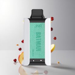 JNR BATMAN 11000 Puffs デュアルメッシュコイル & タイプC急速充電 グレープアップル 卸売業者 日本