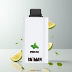 JNR BATMAN 11000 Puffs デュアルメッシュコイル＆850 mAh バッテリー ディスポーザブルベイプ フレッシュミント 卸売業者 日本